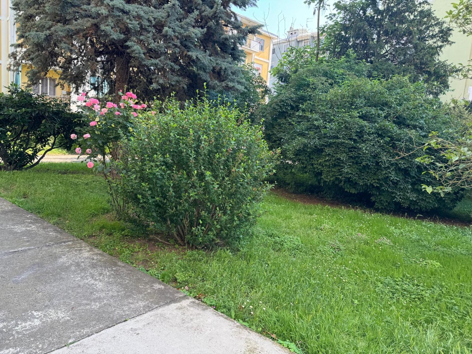 Casa Grivola 29 Daire Vercelli Dış mekan fotoğraf